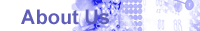 Sanchem Sophin Pvt. Ltd. - About Us