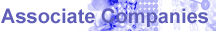 Sanchem Sophin Pvt. Ltd. - Associate Companies